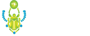 ELIMINAR CHINCHES DF